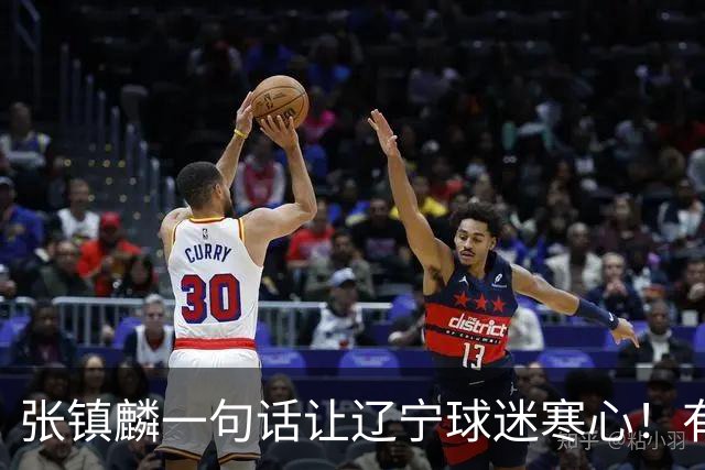 张镇麟一句话让辽宁球迷寒心！有些话不能说得太直白，耗子尾汁吧